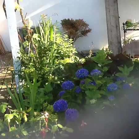 Bokelrehm Διαμέρισμα